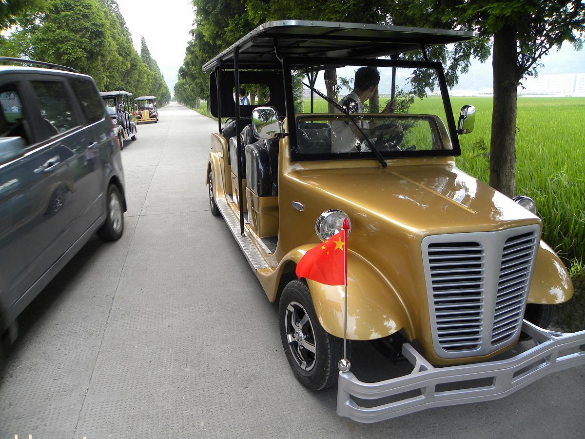 浙江沃誠電動(dòng)老爺車優(yōu)雅古典豪華電動(dòng)貴賓車